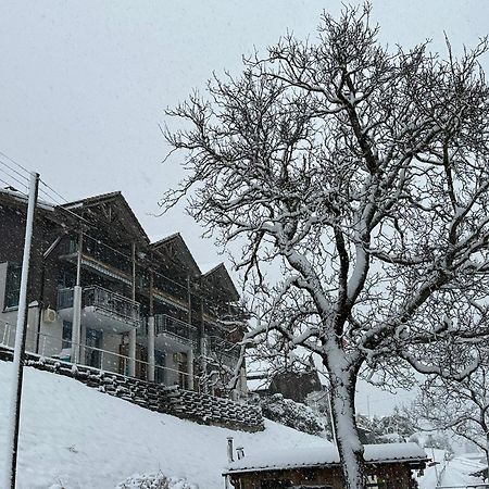 Lake Facing Studio Niederried bei Interlaken Exterior photo