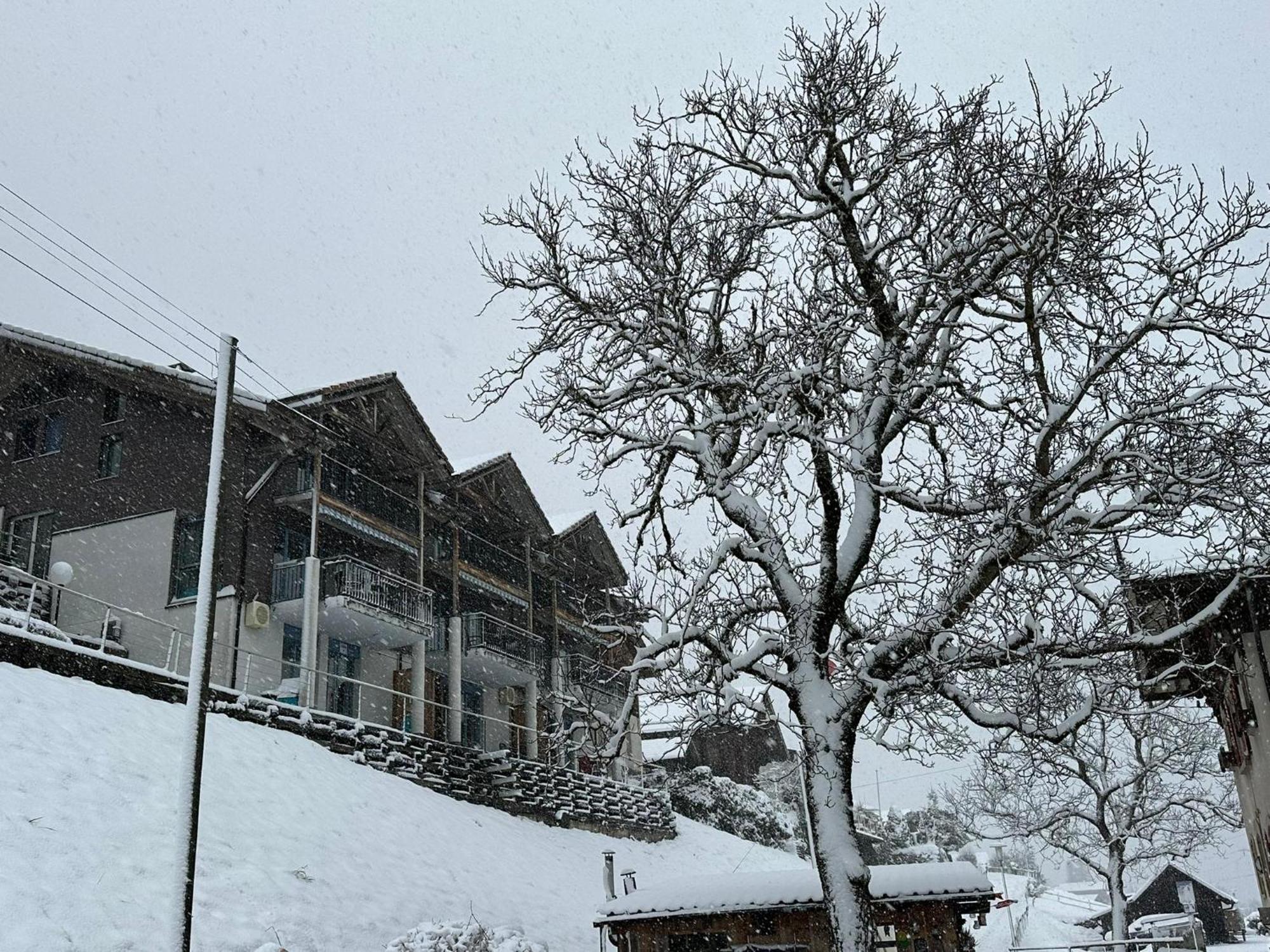Lake Facing Studio Niederried bei Interlaken Exterior photo