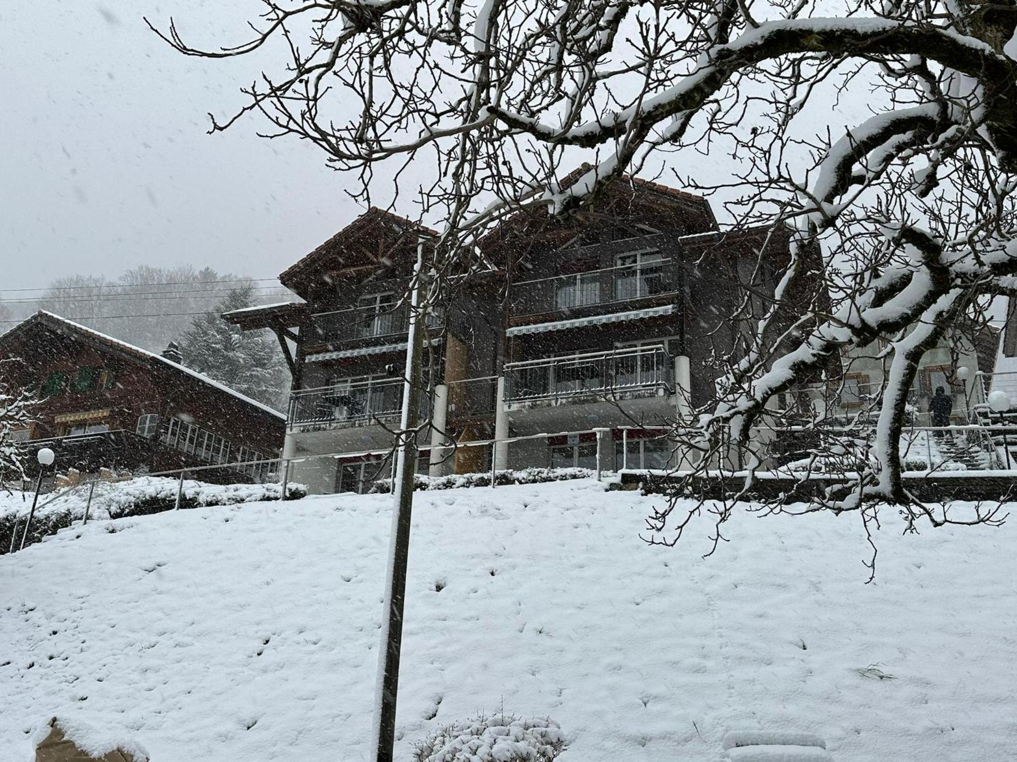 Lake Facing Studio Niederried bei Interlaken Exterior photo