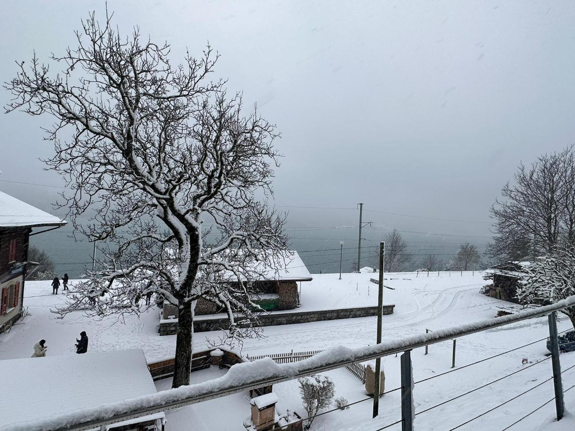 Lake Facing Studio Niederried bei Interlaken Exterior photo